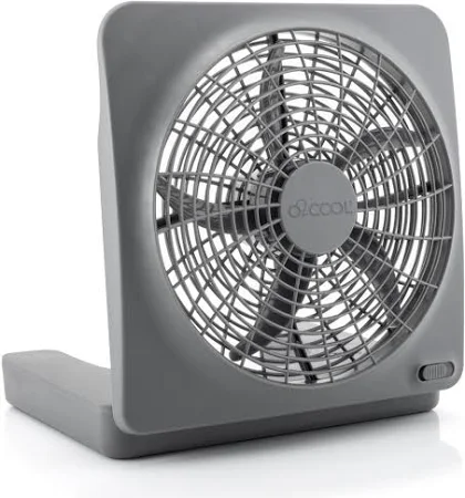 Fan